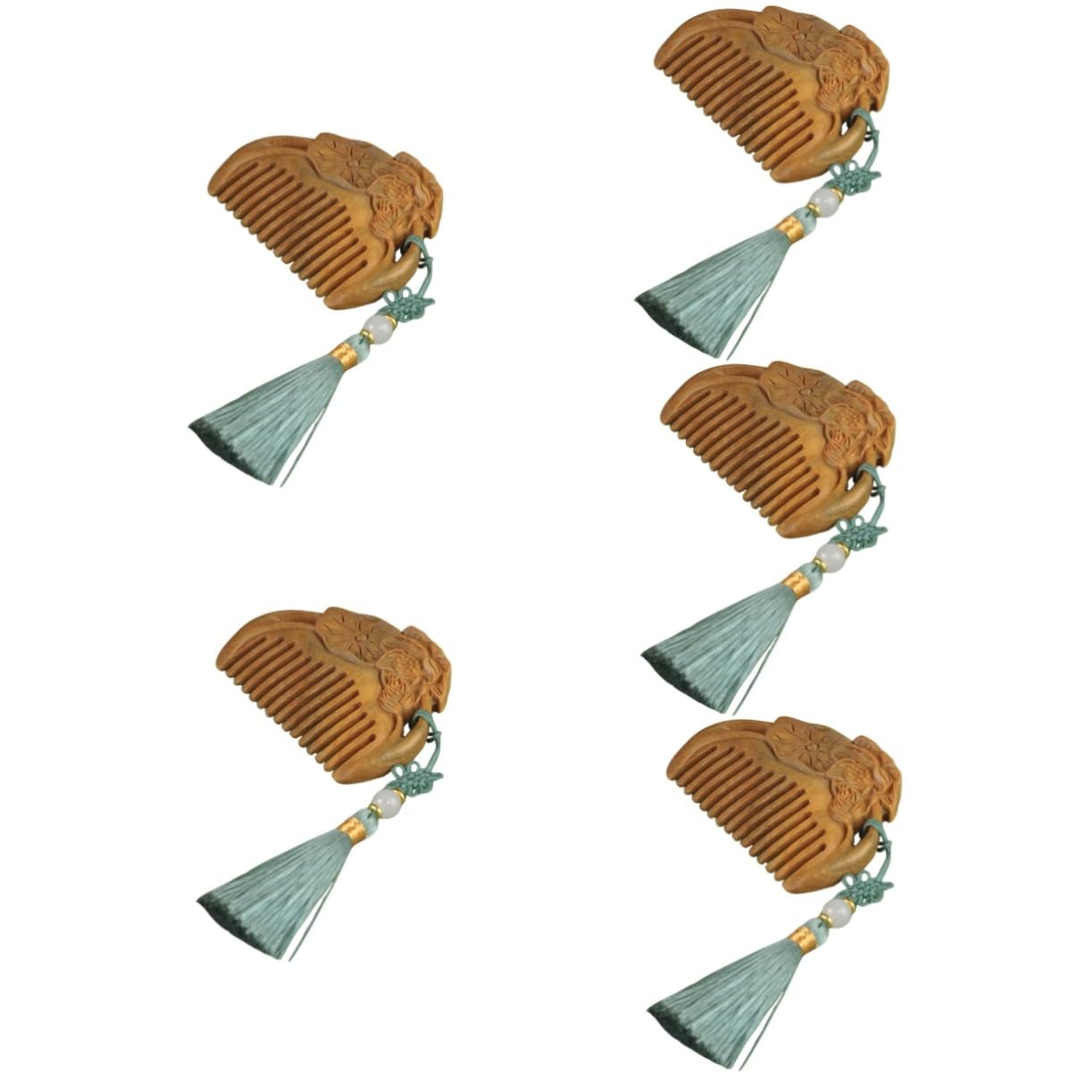DOITOOL 5stücke Holzhaarbürste Mit Quaste Vintage Dangle Tassel Haarbürste Für Damen Und Mädchen Entwirren Von Nassem Und Trockenem Haar Antistatisch Für Haartypen