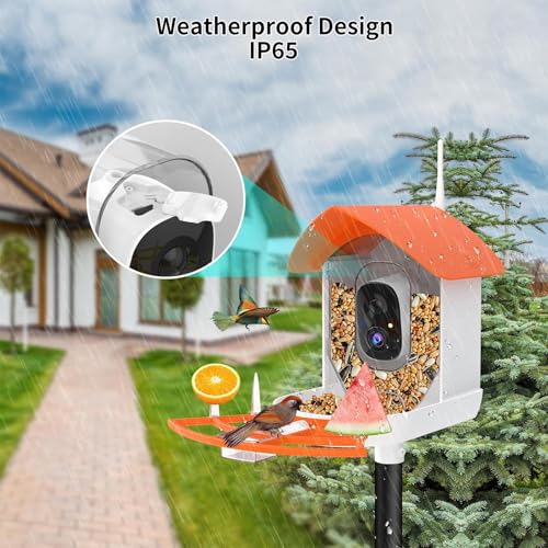 Image of Fazoxo Bird Feeder with Camera,Birds House Camera,Solar Powered,Orange