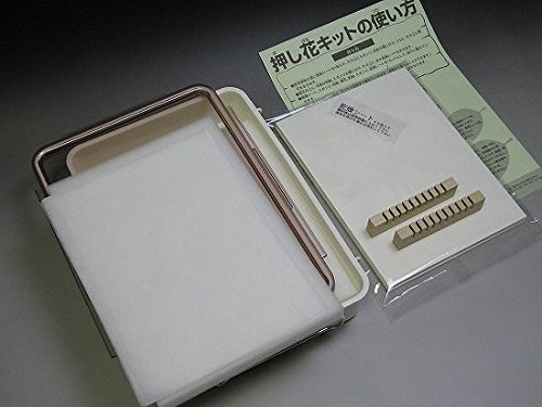 Amazon.co.jp: フラワーアート夢大陸 野原で楽しむ押し花キットM