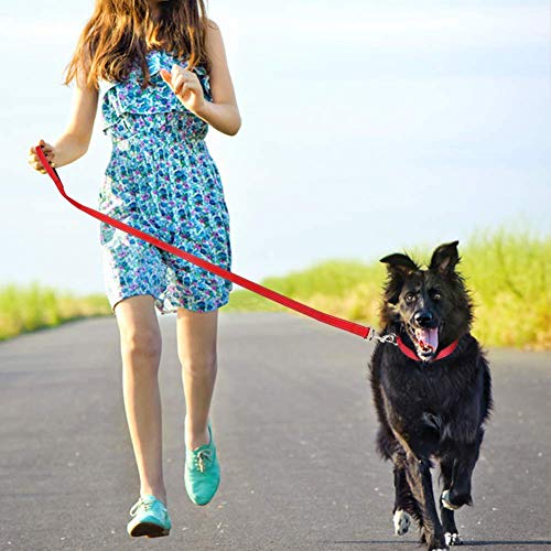 Funtags 4Ft Reflective Dog Leash With Soft Padded Handle For Training,Walking Lead For Large & Medium Dog,1 Inch Wide,Red #TOP6