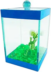 Beteira Aquário Bettas Decorado 9x9x14cm Peixe, Enfeite Fácil Manutenção, Ideal para Quarto, Escritório Para Amantes de Peixes(Azul)