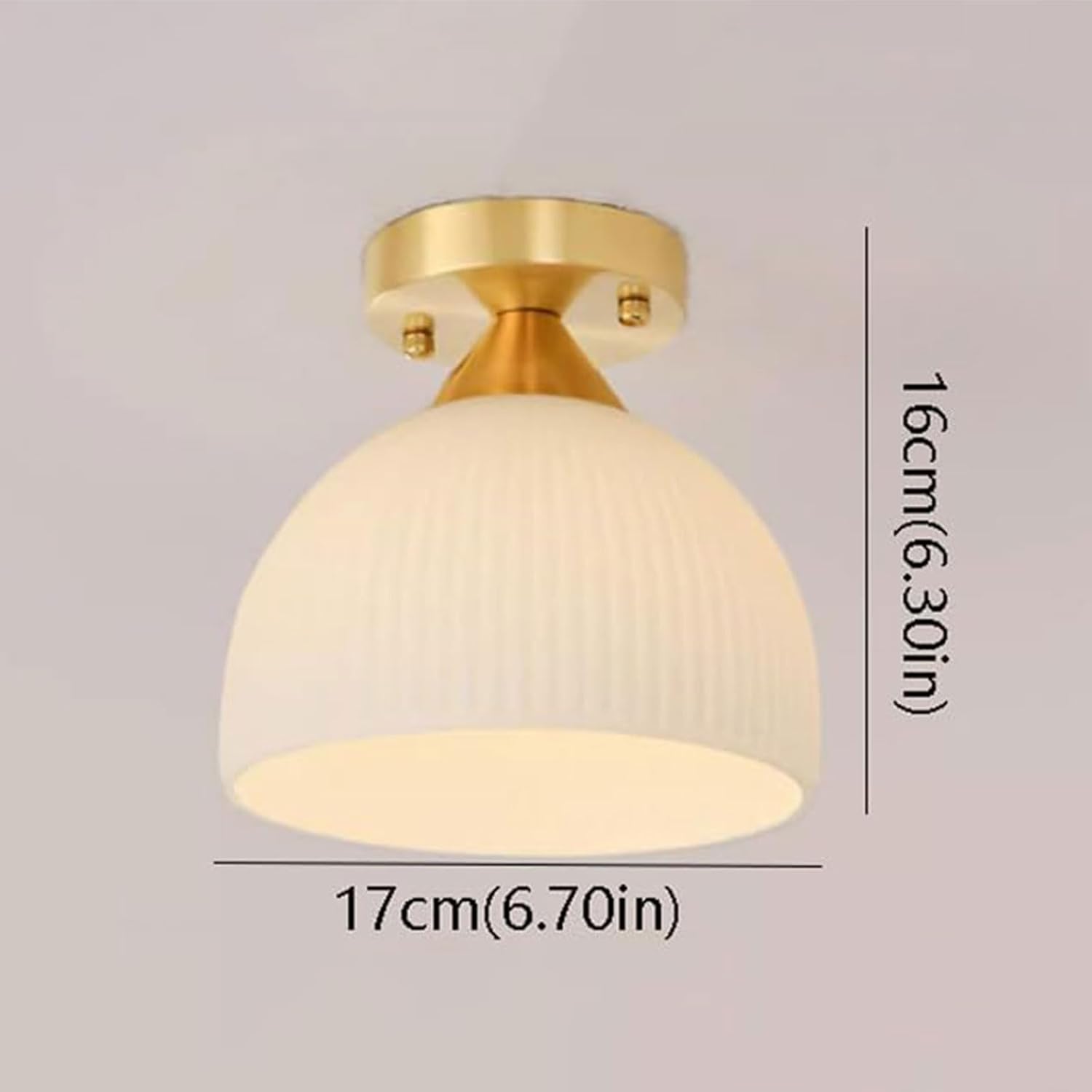Ceiling Lamp Indoor Glass Metal Flush Mount Ceiling Lamp Nordic Hallway Fence Ceiling Lamps for Living Room Bedroom 1 Pack/2 Packs/Color/2 Pack