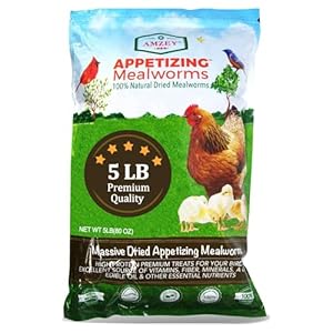 5 LBS- 100% Non-GMO Dried Mealworms – Large Meal Worms – High Protein Treats- Perfect Mealworm for Chickens, Ducks, Turtles, Blue Birds, Lizards – Bag of Mealworms 5 LBS