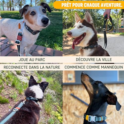 Collier chien tactique Nomadog avec boucle aluminium durable S