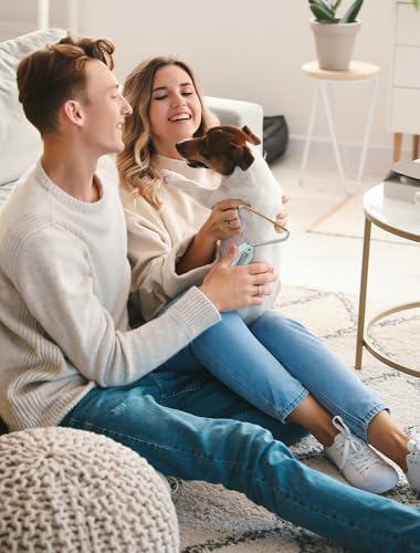 Image of 1 PCS Pet Hair Removal Tool, Fuzz Lint from Carpet, Rug, and Furniture - Effective Rake,Scraper,Shaver and Brush - Lint Cleaner and Pro Pet Hair Remover - Ideal for Pet Towers,Couch,Car