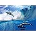 Produktbild Vlies Fototapete PREMIUM PLUS Wand Foto Tapete Wand Bild Vliestapete - Delfin Meer Welle Tropfen Sonne Wasser - no. 531, Größe:200x140cm Vlies