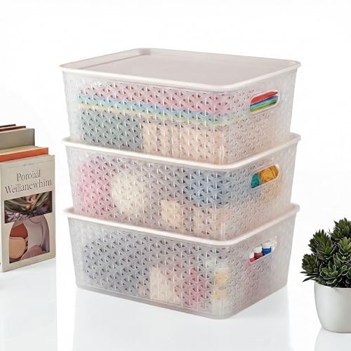 Kuber Industries 3 Pcs Plastic Medium Solitaire Storage Basket with Lid & Handle | Multipurpose Storage Rectangular Box for Cloths Toys & Books | H3 - Transparent