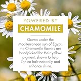 KLORANE Brightening Shampoo with Camomile for Blonde Hair, 1x 200ml bottle - Image 3