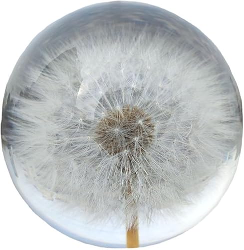 AZIEBAY ^||W{ CeAIuWF ObY v[gp  ԏ Cgx[Xt