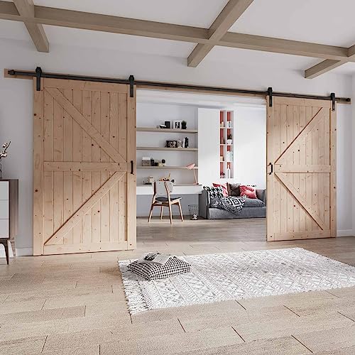 Fredbeck 48 Double Barn Door with Hardware Included (96 barn