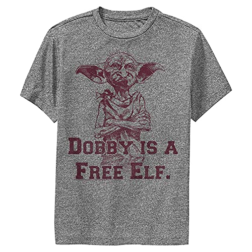 Harry Potter Little, Big Dobby Free Elf Boy's Performance Tee