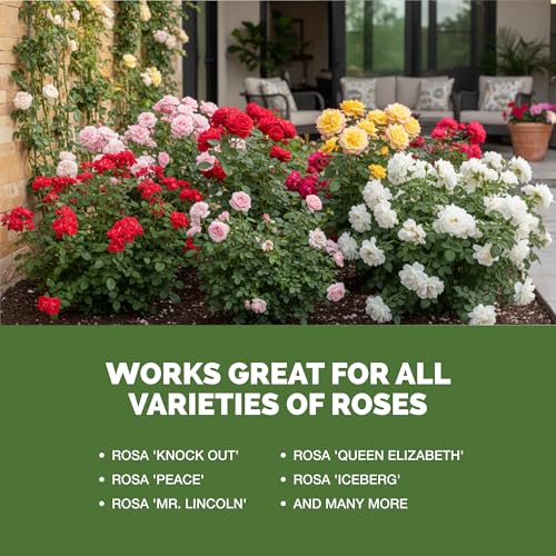Fertilizante líquido para rosas 8 oz miniatura 5