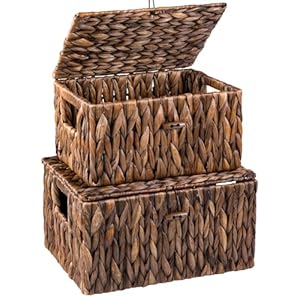 FairyHaus Wicker Basket with Lid & Handle 2Pack, Brown Wicker Storage Basket for Organizing, Natural Water Hyacinth Wicker Storage Basket with Lid 13"x10"x7" & 11.2"x8.3"x5.7" FairyHaus Wicker Basket with Lid Handle 2Pack Brown Wicker Storage Basket for Organizing Natural Water Hyacinth Wicker Storage Basket with Lid 13x10x7 112x83x57