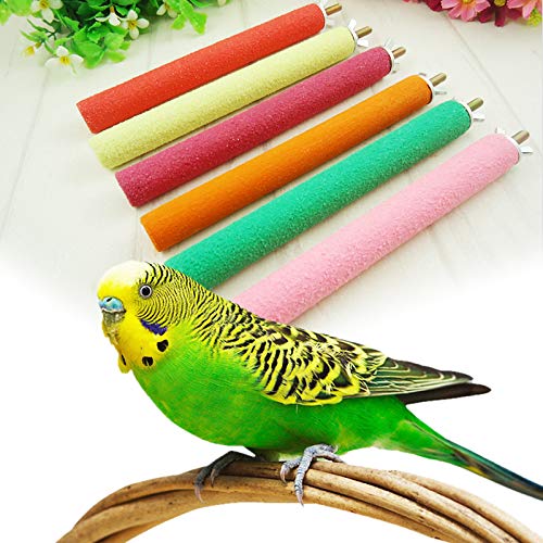 Wlgreatsp Barra de Pulido de Garra de pájaro, peonía de Madera Loro Myna Birds Nest Grind Claw Mill Arenaceous Stick Varilla Derecha
