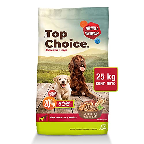 Opiniones De Croquetas Campeon Top 10. Las Mejores Reviews De Productos