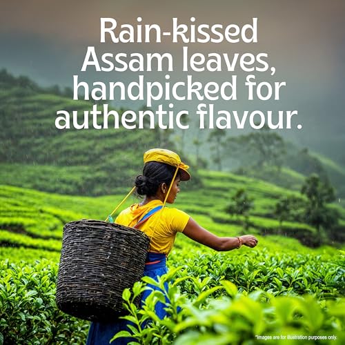 Image of TE-A-ME Assam Tea - 100 Tea Bags | Tea Bags 100