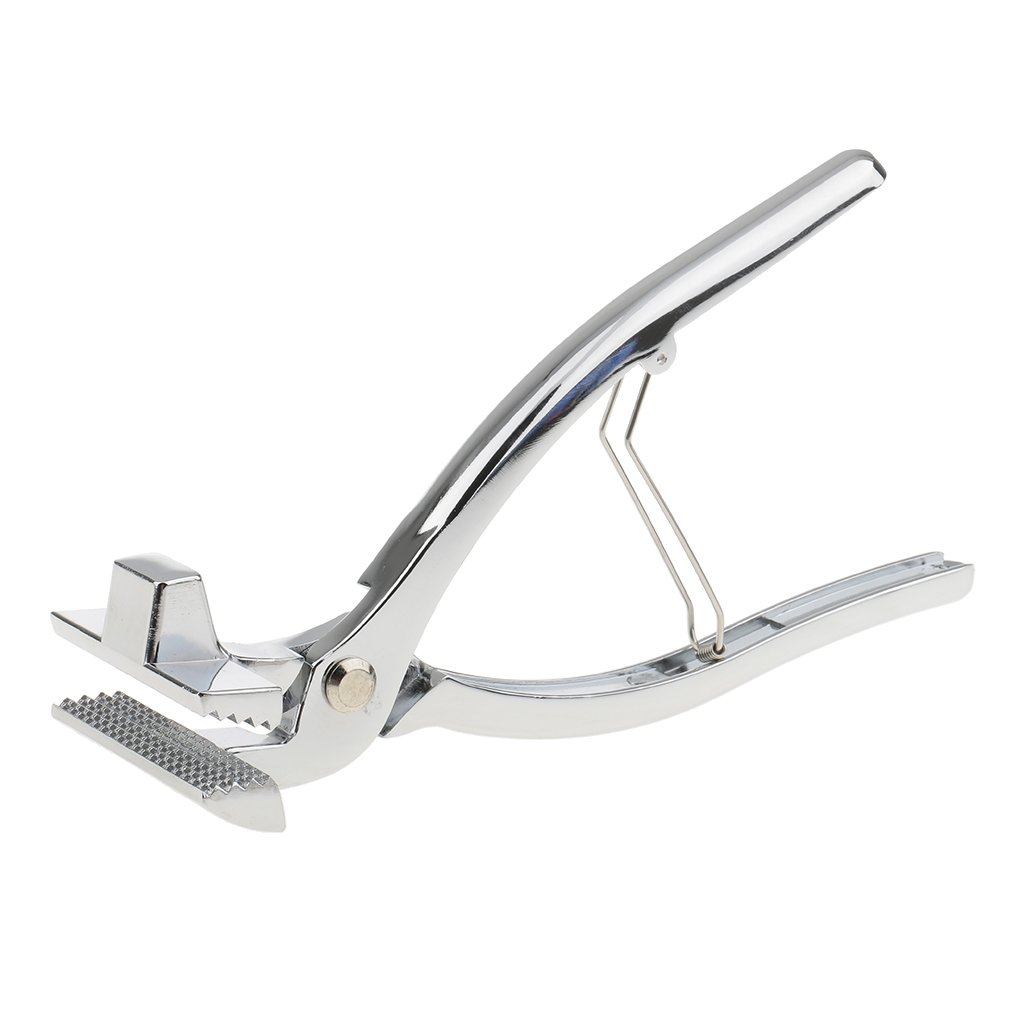 predolo Juego de Herramientas para Tensar Lienzos con Alicates Metálicos, 6cm