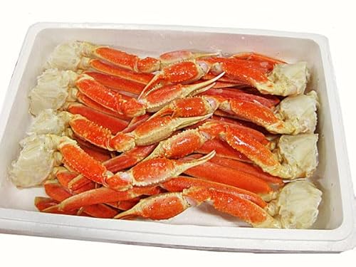 YCKji{CⓀ 3L?5L 5?8) 2kg×1