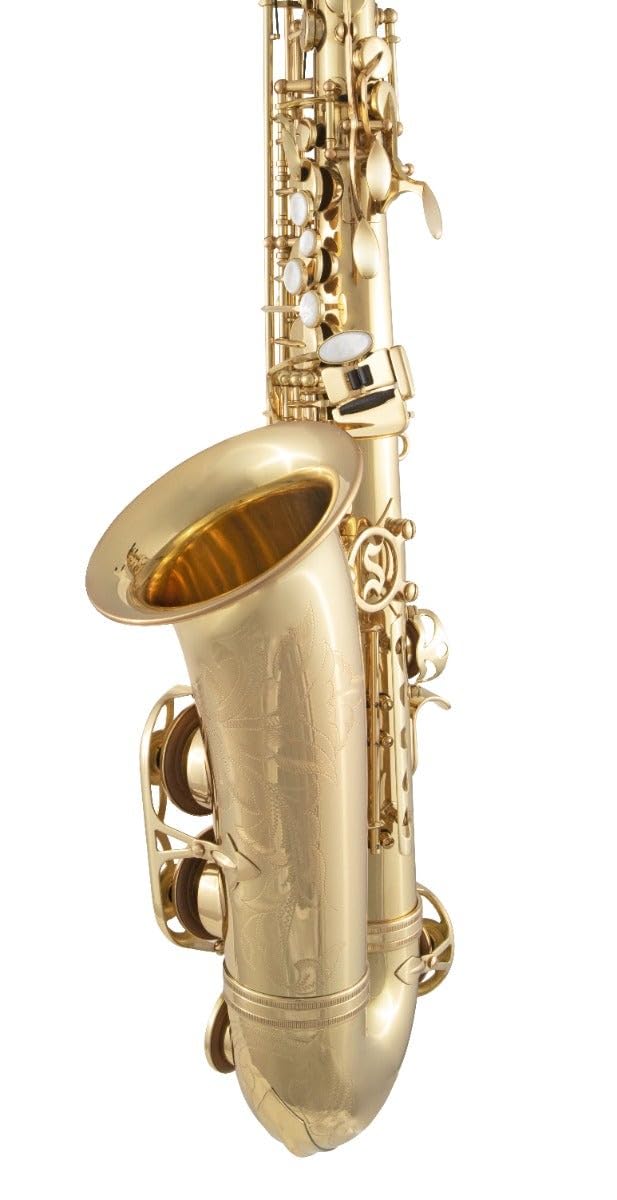 Amazon.com: Selmer SAS511 Intermediate Eb Alto Saxophone Lacquer