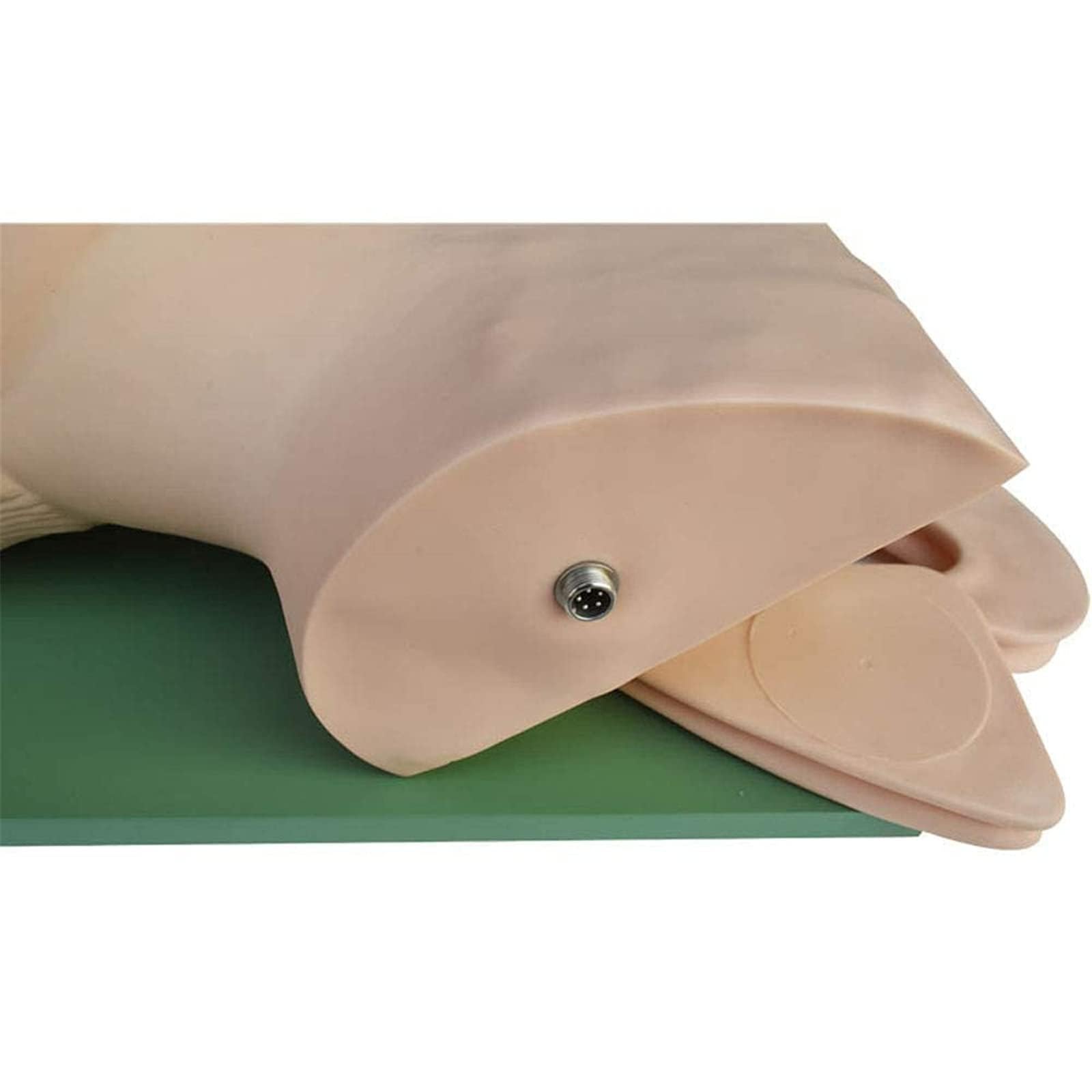 Intubazione tracheale dell'istruttore della gestione delle vie aeree, modello di insegnamento del manichino di intubazione adulto del PVC, educazione del laboratorio scientifico, 220V