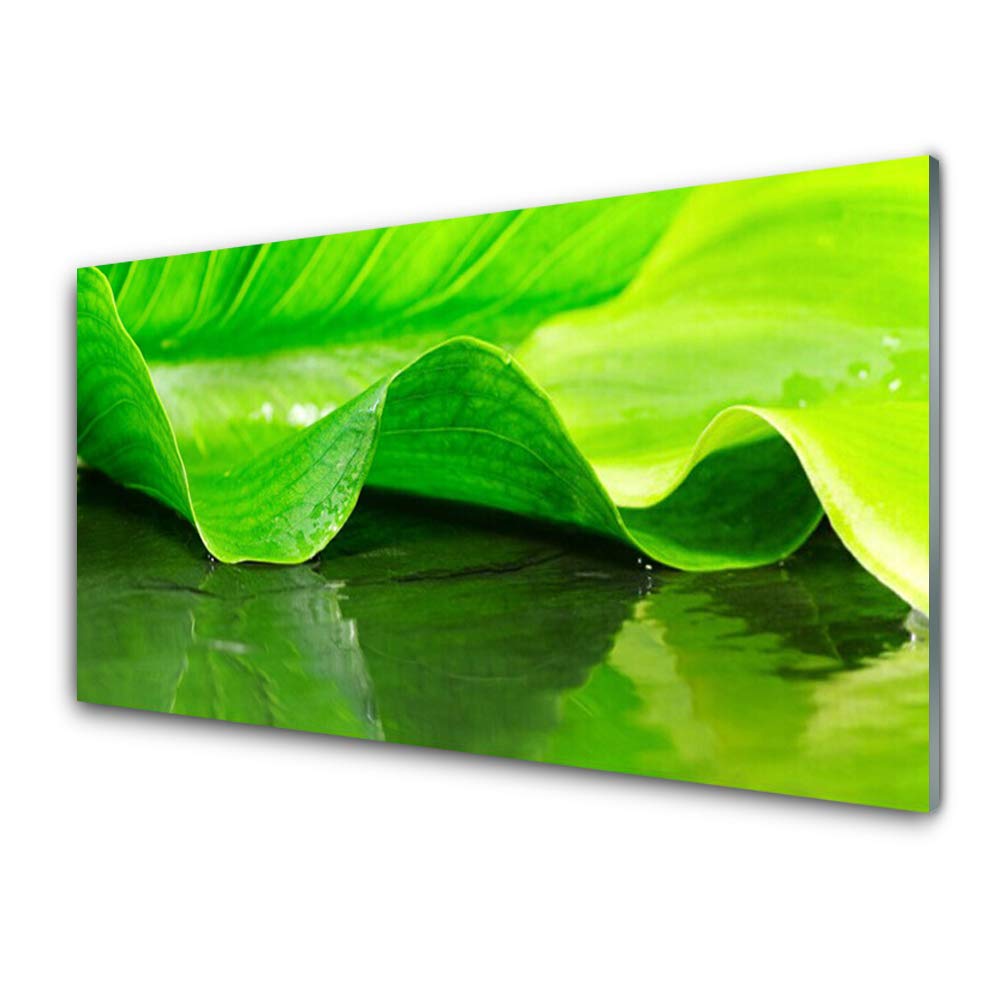 Plastique Imprimés Tableau Décoration de Prestige Tulup en Verre Trempé 100x50cm Motif Floral