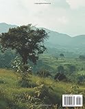 Zoom IMG-1 stunning colorful uganda images coffee