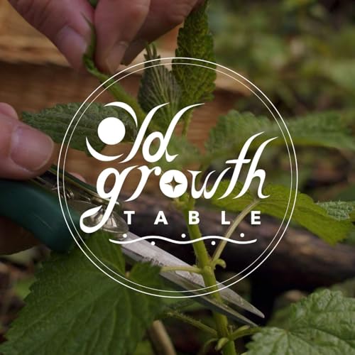 Our Food Is Our Medicine cover art