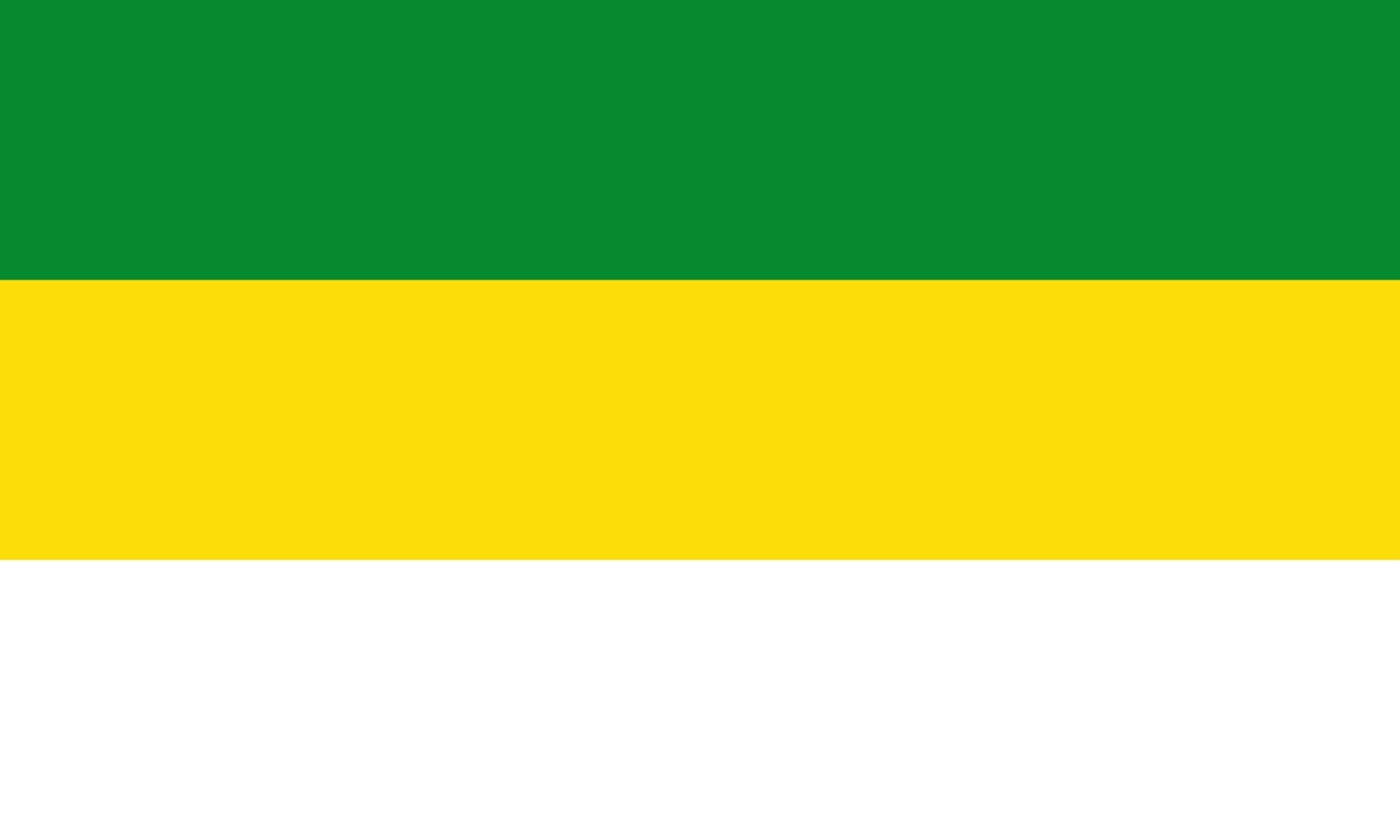 Drapeau San Carlos de Guaroa Meta grand format pour mât extérieur