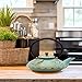 27.1oz Small Cast Iron Teapot, SECHUDO Japanese Style Tea Kettle Coated with Enameled Interior for Stovetop Safe,Cast Iron Tea Pot with Stainless Steel Strainer for Loose Leaf,Flat Fish Pattern(800ml)