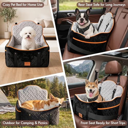 GINMIC Dog Booster with Dual Leashes