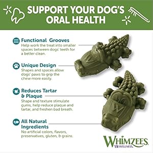 WHIMZEES-by-Wellness-Alligator-Natural-Dental-Chews-for-Dogs-Long-Lasting-Treats-Grain-Free-Freshens-Breath-Medium-Breed-12-Count - Cucciolini Doodles   WHIMZEES-by-Wellness-Alligator-Natural-Dental-Chews-for-Dogs-Long-Lasting-Treats-Grain-Free-Freshens-Breath-Medium-Breed-12-Count