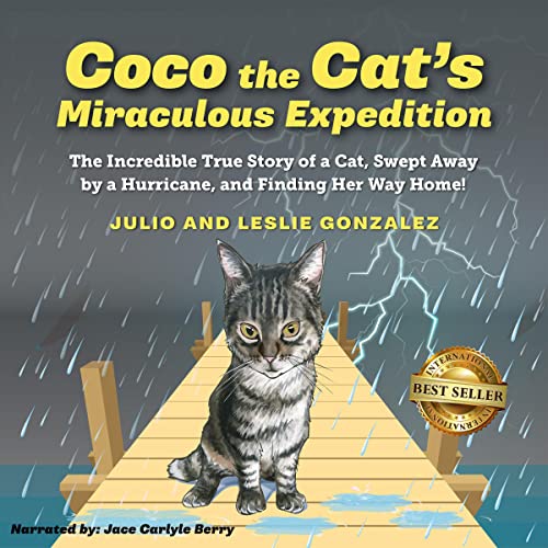 Coco the Cat's Miraculous Expedition by Julio Gonzalez, Leslie Gonzalez episode artwork