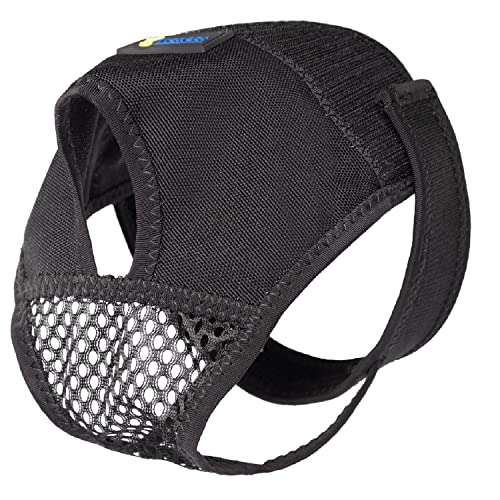 Image of Reusable Female Dog Pants to Prevent Cross-Tailing, Washable Underwear for Dogs in Heat (L, Black)