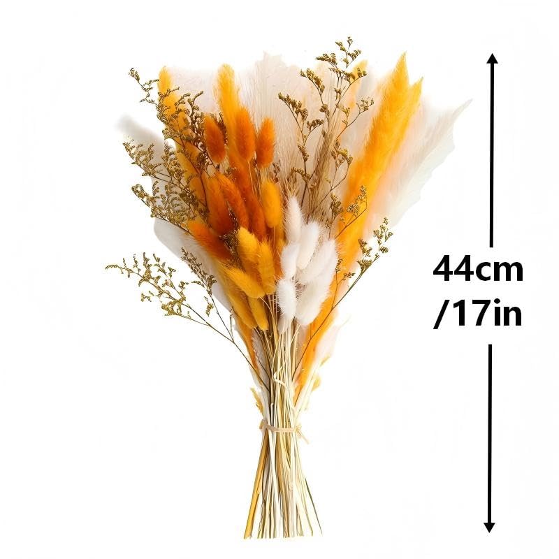 Ramo de flores secas Boho con pasto cola de conejo y hierba pampas miniatura 2