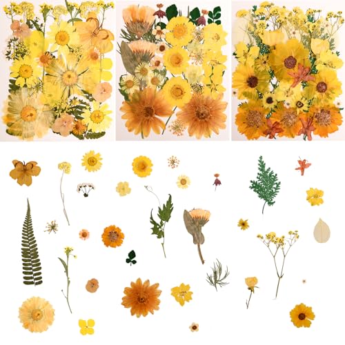 Image of 100 PCS Yellow Pressed Dried Flowers and Leaves with Tweezers | Natural, For Resin, For Candle, For Jewelry, For Scrapbooking & DIY Crafts