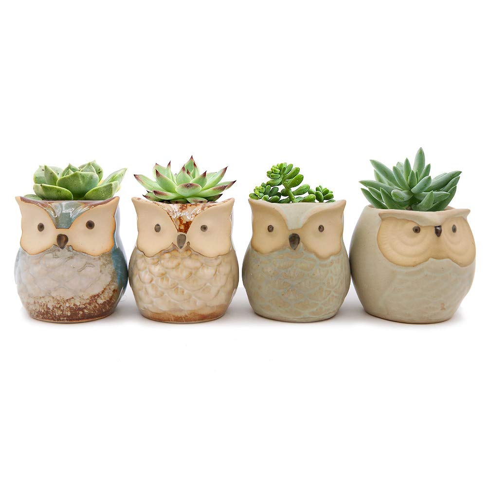 Gino Multicolor Set Of 4 Mini Ceramic Cartoon Owl Pattern Succulent Plant Pot Flower Pot Container Planter Cactus Plant Pot For Garden