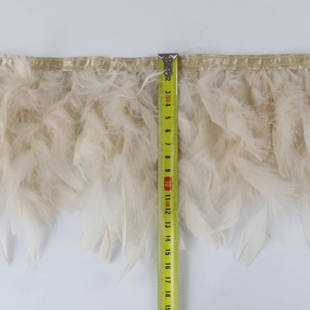 2 Meter Natürliche Truthahnfern, Fransenhöhe 10–15 Cm