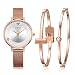 MAMONA Women's Mesh Band Watch Rose Gold Stainless Steel Adjustable Strap L3883RGGT