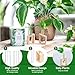 Propagation Station, Plants Terrarium, Plants Lover Gifts for Women,Plant Cutting Holder Home décor,Gifts for Women,House Warming New Home-2 Tubes-Beige