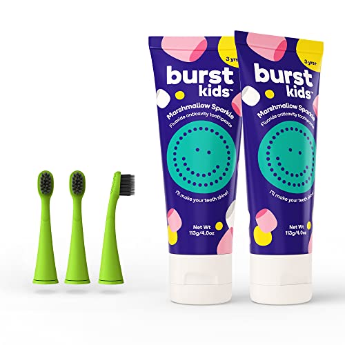 Find The Best Burst Toothbrush Heads Picks And Buying Guide BNB