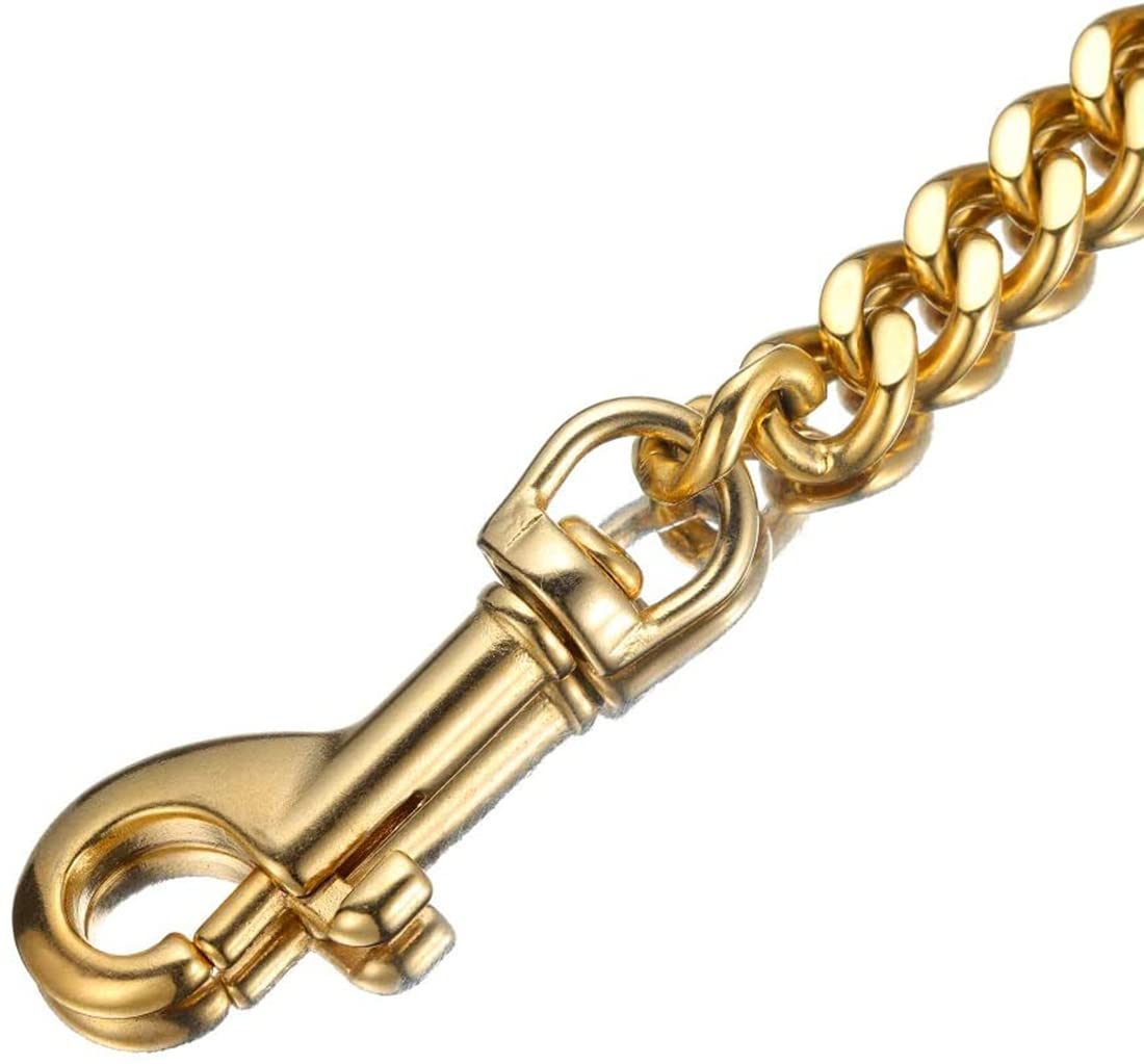 Correa de cadena para perro de acero inoxidable de 12 mm, con asa cómoda de cuero auténtico para perros grandes, medianos y pequeños (oro, 3 pies)