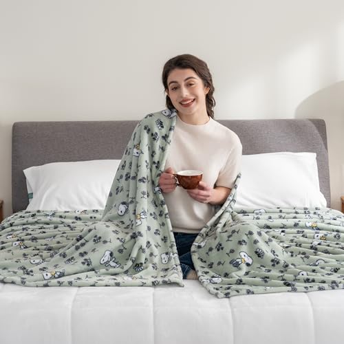 Image of Berkshire Blanket Peanuts VelvetLoft Cute Character Snoopy Plush Blanket,Peanuts Snoopy & Woodstock New Flower and Bees Sage,King 90 in x 108 in (Official Peanuts Product)