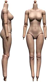 美少女フィギア23体 Amazon.co.jp: 【Tbmodel 】23-Toys 1/6 フィギュア 女性 高質