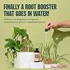 Root Drops - Liquid Rooting Hormone for Cuttings | Fast Propagation Drops, Stronger Roots, Less Shock | Works in Water, Soil, Leca, Moss| For all Indoor Houseplants like Pothos, Monstera, Philodendron