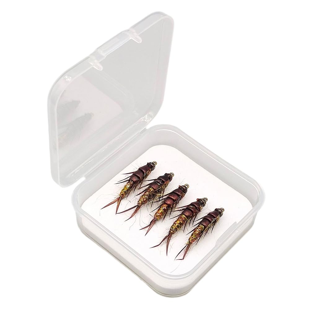 5 pezzi di Ami da Pesca a Mosca, Esca da Mosca Ninfa per Stonefly, per Trota, Spigola e Temolo