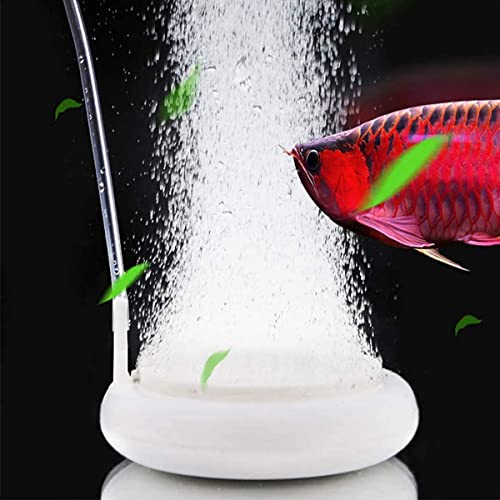 Diffuseur Air Aquarium Hygger - Pierre à Bulles Nano Silencieuse, Base Inox - 6.5cm - 10