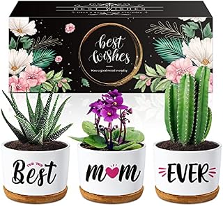 Mum Birthday Gifts, Birthday Gifts for Mum Succulent Planters Pot, Gifts for Mum from Daughter or Son, New Mum/Step Mum/Mummy Gifts for Birthday Christmas Valentine's Day with Beautifully Gift Boxed