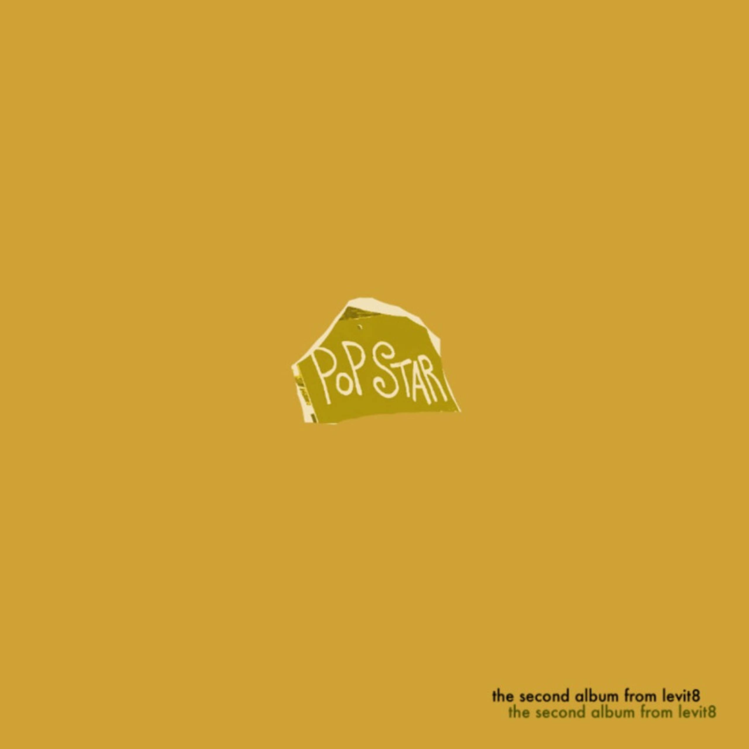 private popstar, an album by levit8 [Explicit]