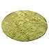 KRUIHAN Fluffy Rotonda Soggiorno Tappeto Grande Camera da Letto Moderna Shaggy Colore Solido Carpet(Verde/120 * 120CM)