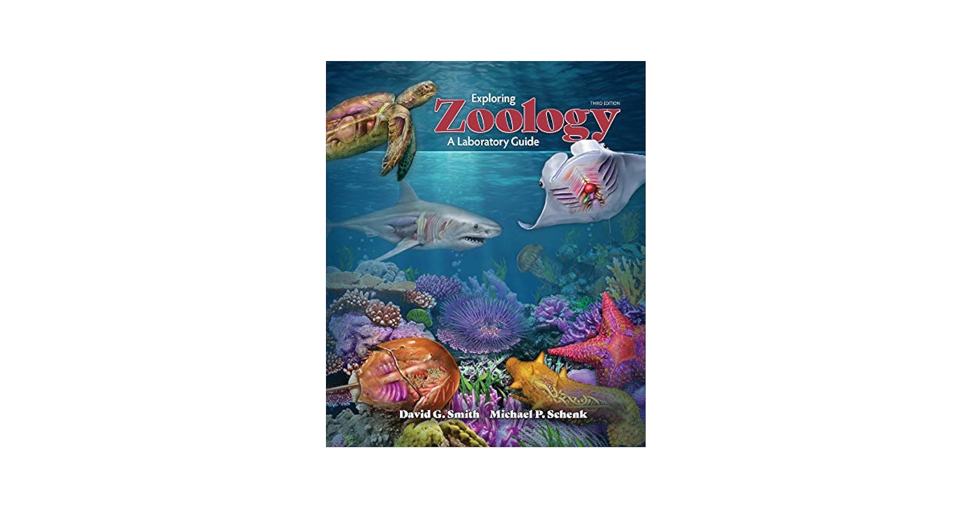 Amazon.com: Exploring Zoology: A Laboratory Guide, 3e
